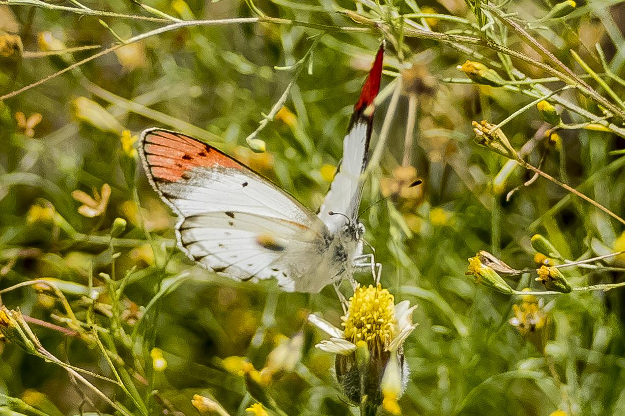 6 Days Uganda Adventure Tour