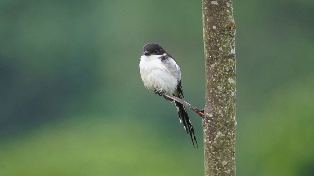 Semuliki National Park