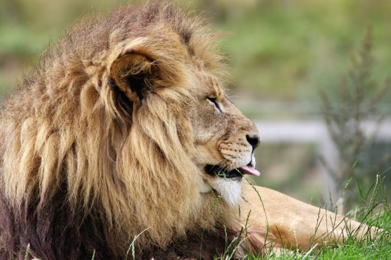explore queen elizabeth national park uganda