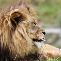 explore queen elizabeth national park uganda